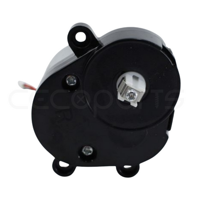 Motor Escobilla Conga 8290 Immortal y 7490 Immortal