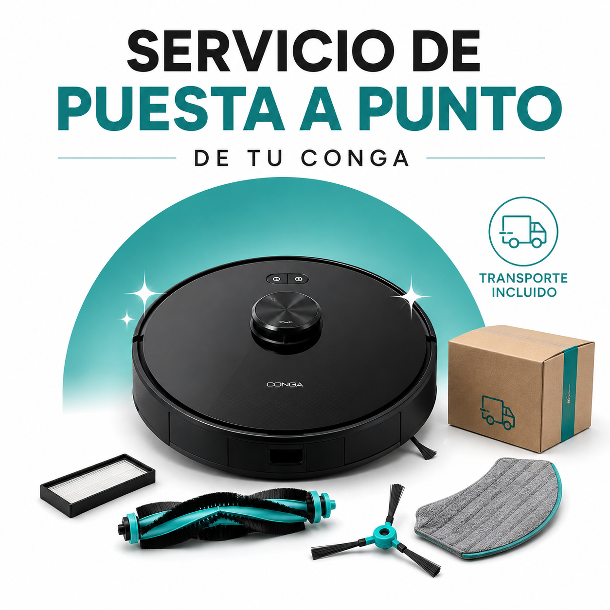 Servicio Puesta a punto con transporte incluido