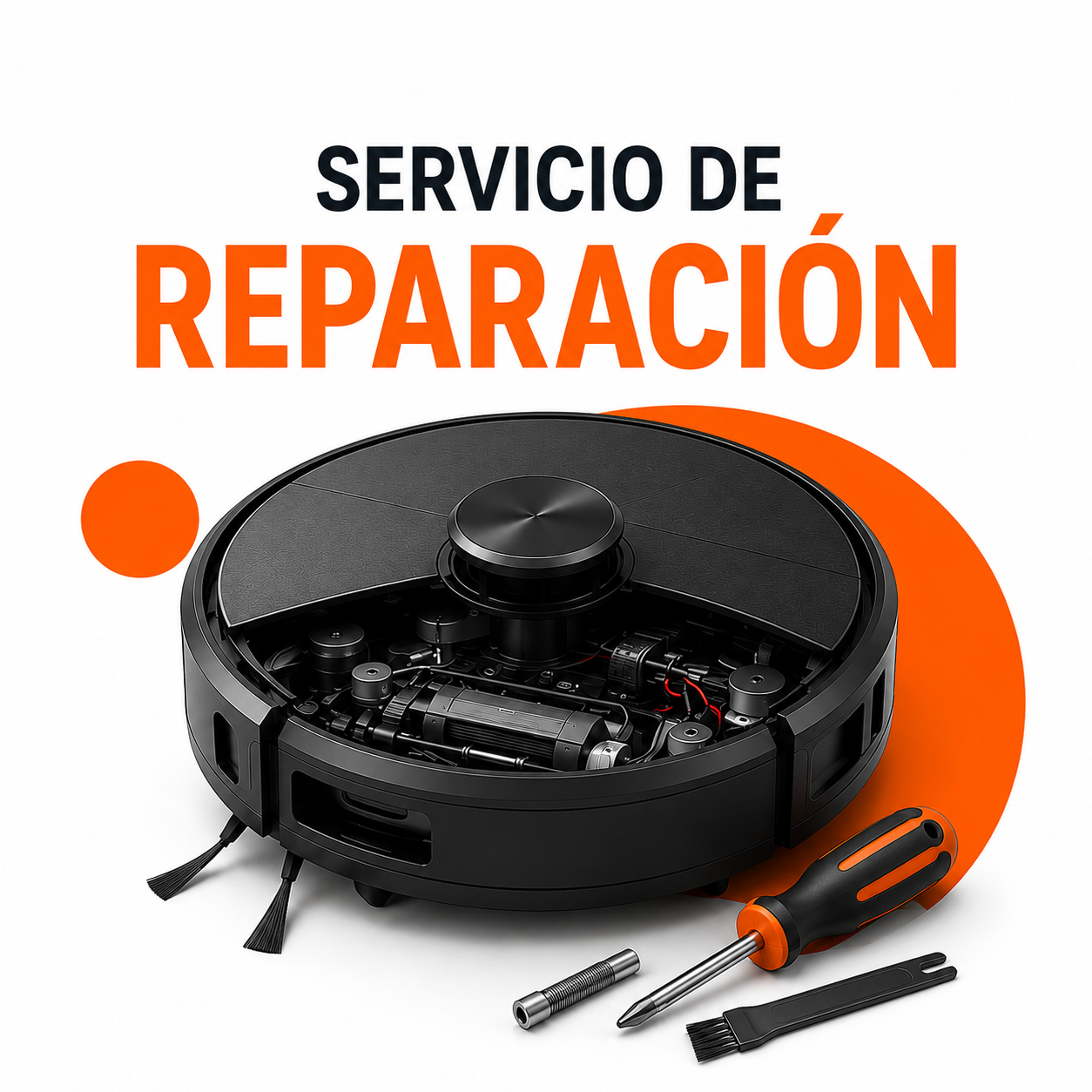 Servicio Reparacion